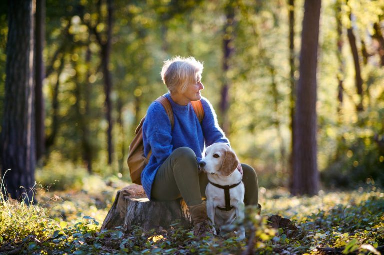 A happy senior woman with dog on a walk outdoors in forest, resting.
